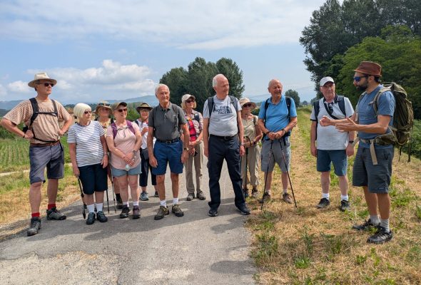 WhatsApp Image 2025-06-07 at 16.42.01_936d754b