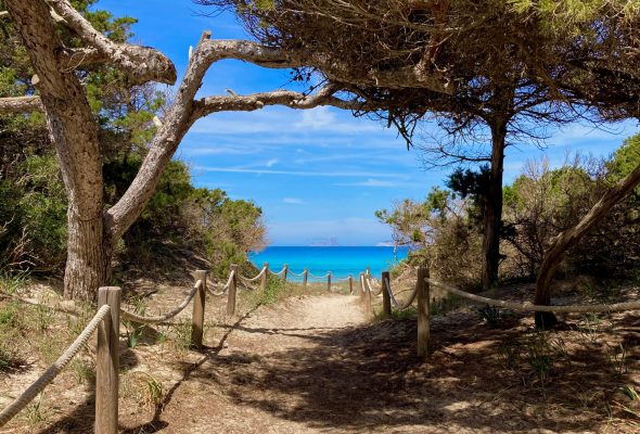 Way,To,The,Cavall,D´,En,Borras,Beach,In,Formentera